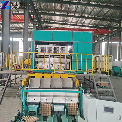 egg tray making machine price
