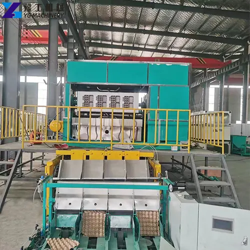 egg tray making machine price