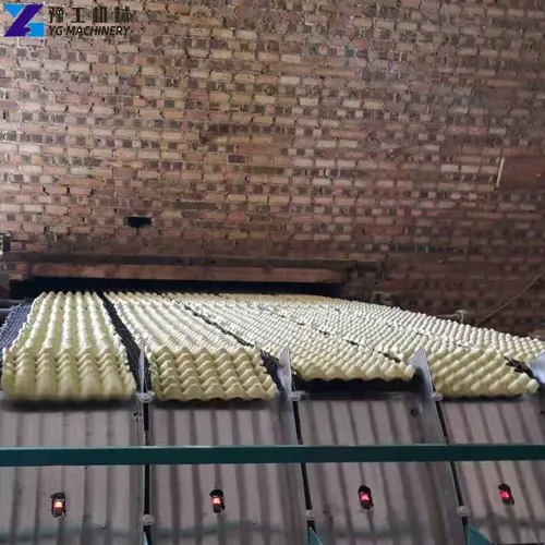 egg tray drying system for brick kilns
